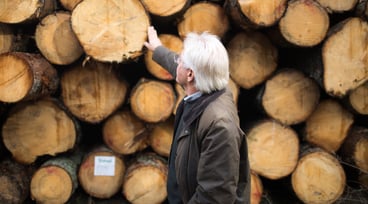 Man står framför timmerstockar och tittar mot dem