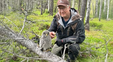 Mats Lundberg i sin skog med en lappuggleunge