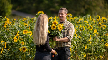 Arvid och Tove står mitt emot varandra framför ett fält med solrosor.