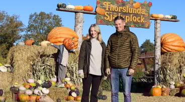 Rebecca och Niklas Ringborg står framför sin pumpavärld