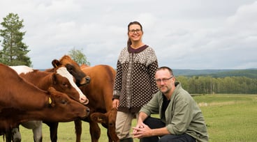 Ostmästarna Pär och Johanna Hellström står bredvid några kor