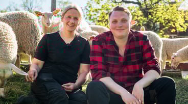 Carl-Johan och Sara sitter framför en grupp får.