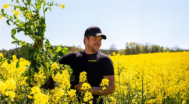 Carl står i ett blommande rapsfält