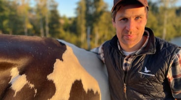 Tomas Engdahl står bredvid en ko