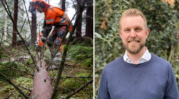 Tvådelad bild på en skogsbrukare som arbetar i skogen till vänster och porträttbild på Olle Nylund till höger