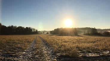 Soluppgång vid åker
