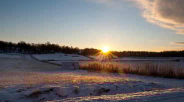 Vinterlandskap i solnedgång