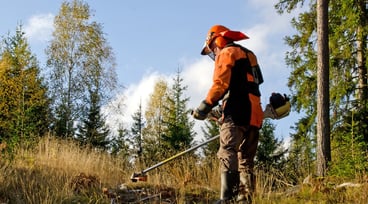 Skogsarbetare med röjningsverktyg