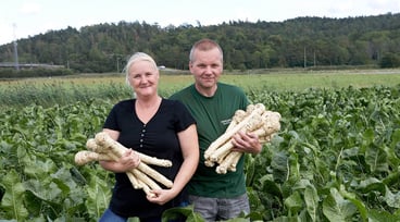 Margaretha och Mikael Jonsson står med pepparrötter i famnen på ett fält på Pepparrotsgården i Fjärås