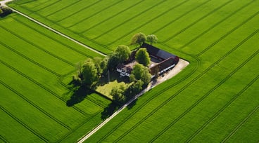 Flygfoto över gård omgiven av klargröna åkrar