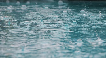 Regn