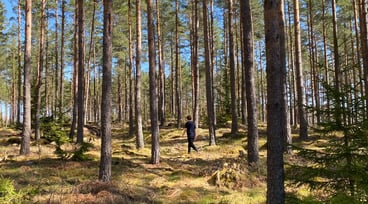 Man går i skogen