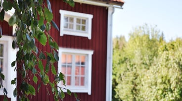 Röd villa med björklöv i förgrunden