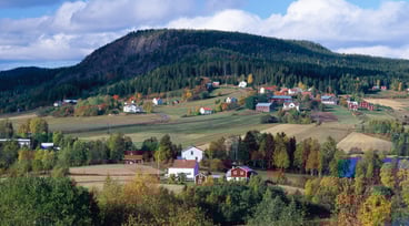 Landsbygd med hus och åkrar, Omne i Ångermanland