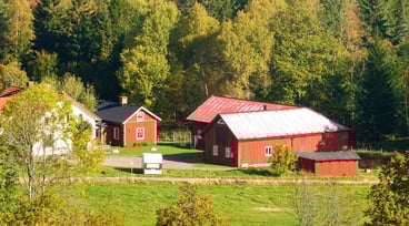 Gårdshus omgiven av skog