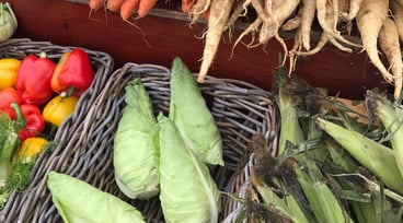 Korgar med olika grönsaker och rotfrukter