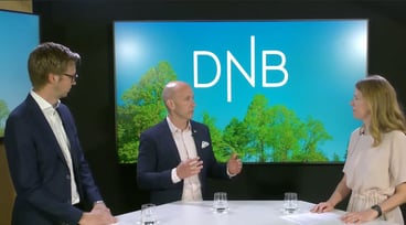 Skärmdump från samtalet om grön finansiering