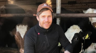 Tomas Engdahl med sina mjölkkor