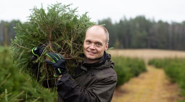 Man bär en julgran