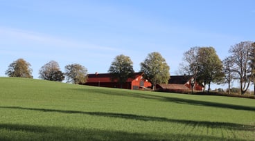Grön gräsmatta med röd gård och träd