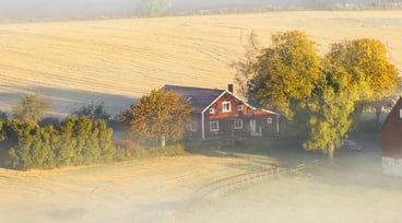 Röd gård på disig åker