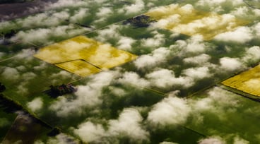 Flygfoto över åker med moln i förgrunden
