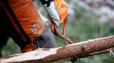 Närbild på man som arbetar i skogen