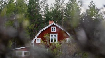 Rött hus intill en skog på sommaren
