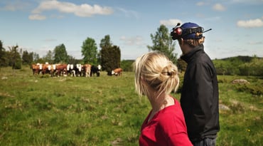 En kvinna och en man ser ut över en grönskande kohage