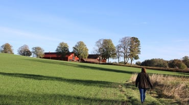 Kvinna promenerar på grön åker mot röd lada