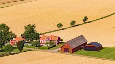 Gul åker med röd gård
