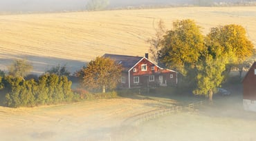 Röd gård på disig åker
