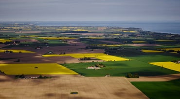 Vy över åkerlandskap i Skåne