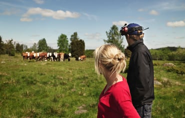 En kvinna och en man ser ut över en grönskande kohage