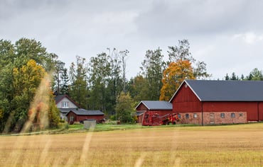 Gårdshus och lada med fält i förgrunden