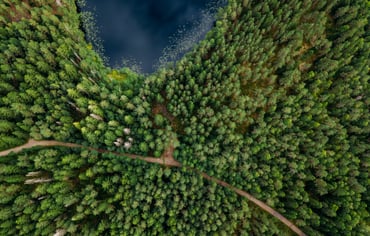 Flygbild över skog och sjö