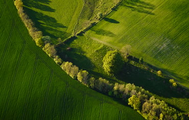 Flygfoto över skånska fält