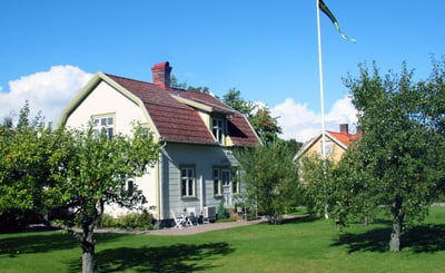 Villaträdgård med äppelträd