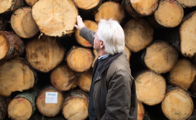 Man står framför timmerstockar och tittar mot dem