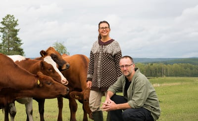 Ostmästarna Pär och Johanna Hellström står bredvid några kor