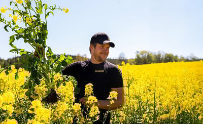 Carl står i ett blommande rapsfält