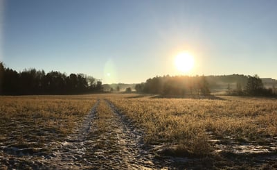 Soluppgång vid åker