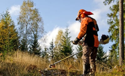 Skogsarbetare med röjningsverktyg