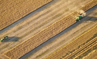 Flygbild över höstskörd av vete med skördetröska och traktor med släp i Östergötland.