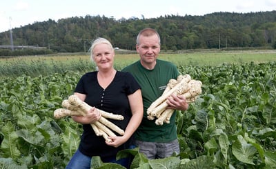Margaretha och Mikael Jonsson står med pepparrötter i famnen på ett fält på Pepparrotsgården i Fjärås