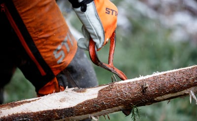 Hand håller i såg som sågar i träd