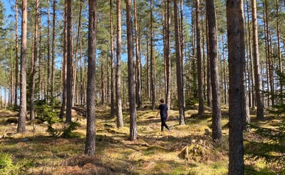 Man går i skogen
