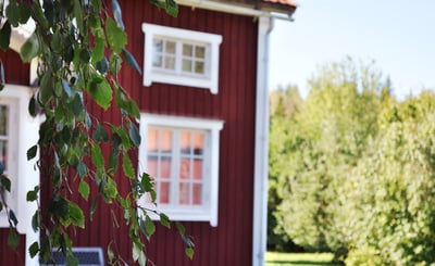 Röd villa med björklöv i förgrunden