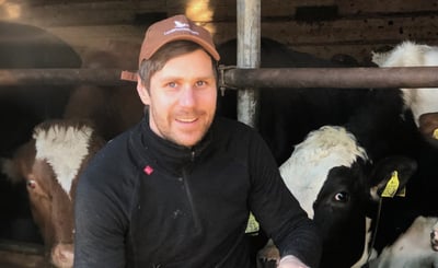 Tomas Engdahl med sina mjölkkor