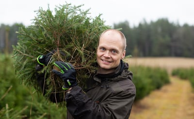 Man bär en julgran